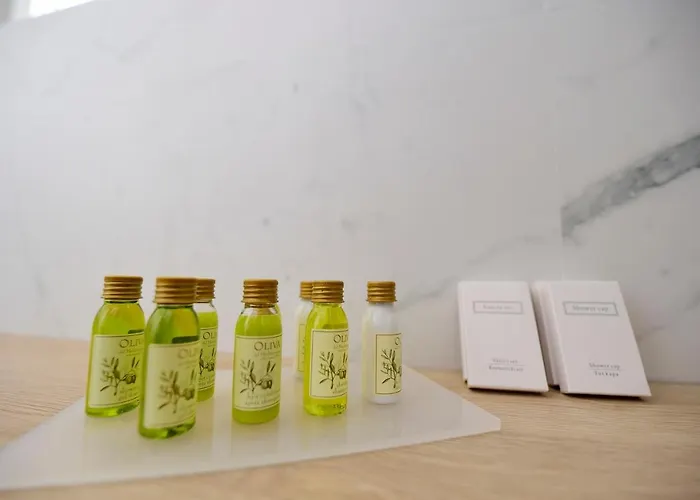 The Lion Guest house